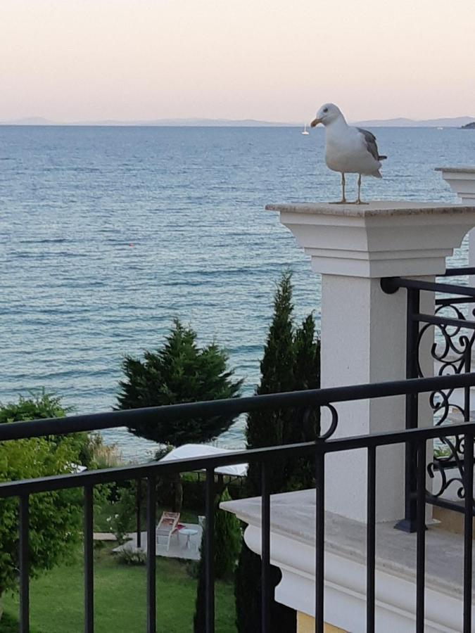 Horizon Katrina Apartments - Sea Line & Beach Access Sveti Vlas Exterior photo